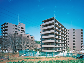 Seismic isolation structure apartment