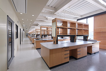 MAIN LAB.