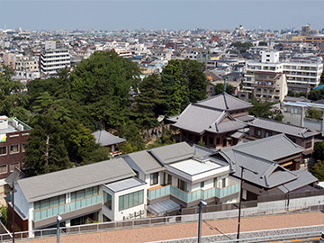 真言宗豊山派　金剛院