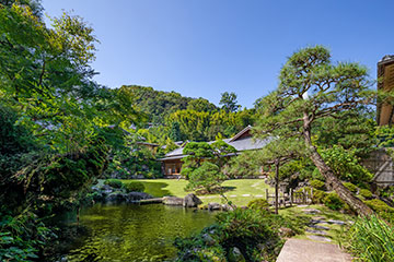 日本庭園より離れを臨む